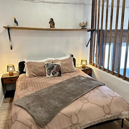 Casa Adega *